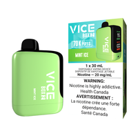 Vice Box 2 Disposable Vape - Mint Ice
